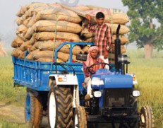 هندی‎ها به عنوان دومین کشور تولیدکننده محصولات کشاورزی جهان به دنبال افزایش صادرات