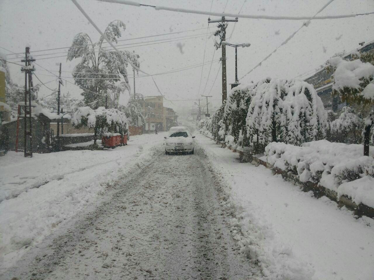 بارش برف در «رینه‌» مازندران