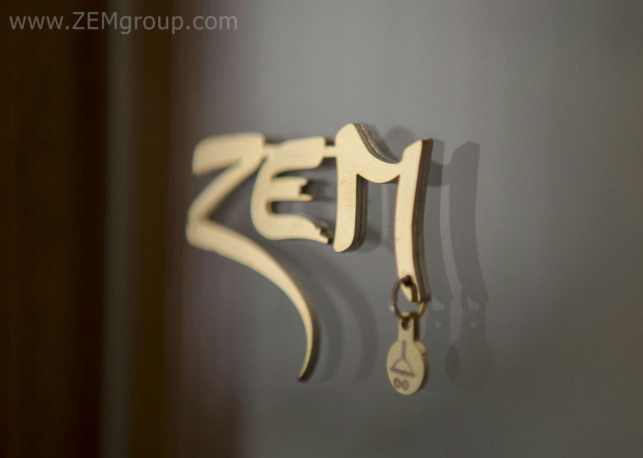 موفقیت ایده‌های متفاوت و جسورانه شرکت ZEM