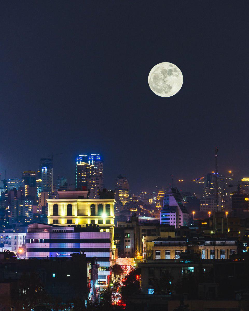 کشف جدید هیولاهای بالدار در غرب چین کشف جدید هیولاهای بالدار در غرب چین