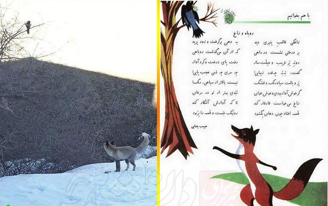 پدری که با خودرو پسرش را زیر گرفت! پدری که با خودرو پسرش را زیر گرفت!