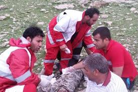 حمله خرس به 2 کوهنورد دره شهری در ایلام