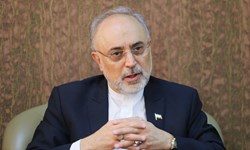 اساس مذاکره با اروپاییها بر بیاعتمادی خواهدبود
