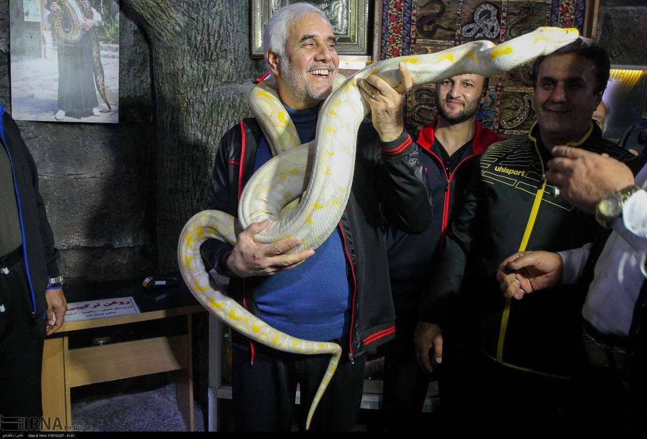 چنبره زدن مار بر گردن آقای استاندار! چنبره زدن مار بر گردن آقای استاندار!