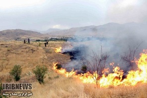 آتشسوزی در بیش از100 هکتار از مراتع مهاباد