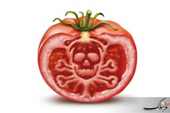 وجود رگه‌های سفید گوجه‌فرنگی سرطانزا است؟