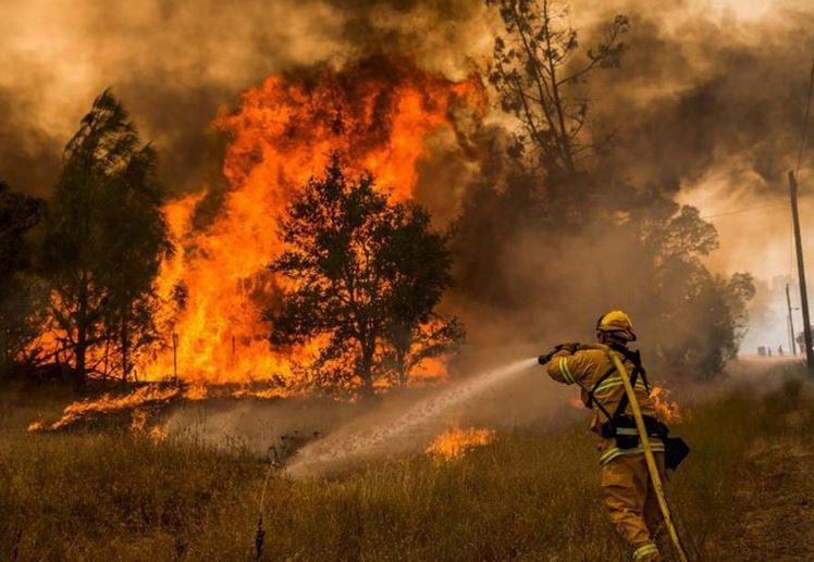 آتش‌سوزی جنگل‌‌های کالیفرنیا از کنترل خارج شد