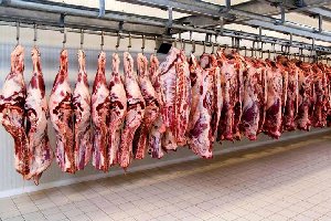 افزایش ۷ درصدی واردات گوشت گاو منجمد