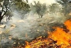 افزایش فوتیهای آتشسوزی مریوان به 4 نفر