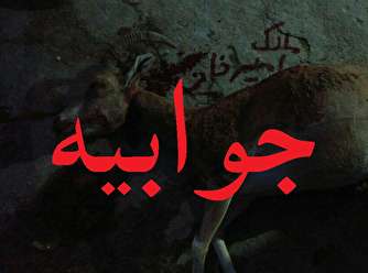 جوابیه اداره کل حفاظت محیط زیست استان گلستان به خبر «تابناک»