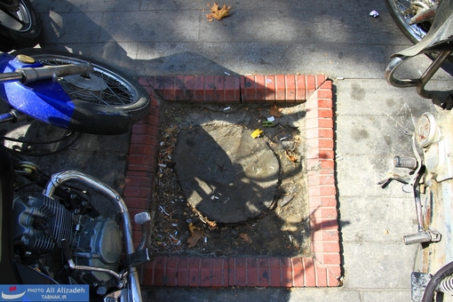 ایجاد مزاحمت کنده درخت برای موتورسواران عزیز که جای پارک آنها را در پیاده رو گرفته!