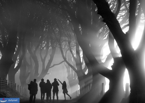 موضوع : صبح های عرفانی -تصویری زیبا از مک کالین که گروهی از دوستان را در حال بازی در خیابان نشان می دهد.تابش نور از میان درختان،زیبایی اثر را دوچندان کرده.