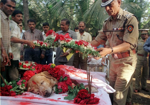تشییع جنازه باشکوه سگی که جان هزاران نفر را در سال 1993 نجات داد، بمبئی ـ هند