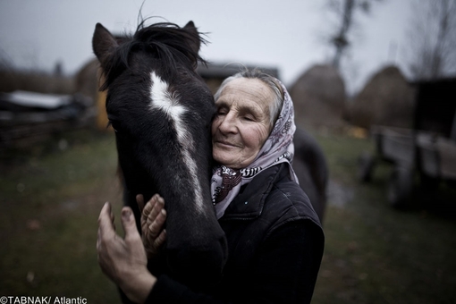 ارسال از لهستان - پرتره زن روستایی و اسب