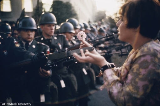 هدیه یک گل به سربازان پنتاگون در طول اعتراض‌های ضد جنگ در سال ۱۹۶۷