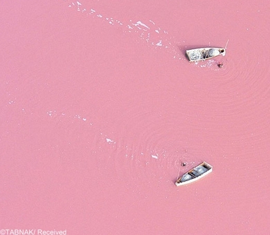 دریاچه صورتی-این دریاچه که در کشور سنگال قرار دارد بعلت وجود رنگدانه های صورتی فراوان در جلبک سالینا به این رنگ زیبا درآمده است . این دریاچه یکی از رودخانه با حجم نمک فراوان در دنیا شناخته شده است . 