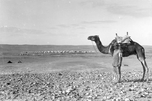 در تصویر یک امداد رسان با شتر در صحرا دیده می شود.