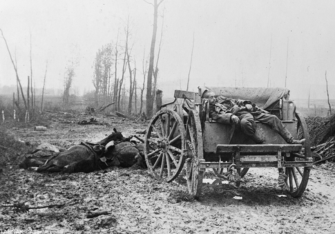 هشت میلیون اسب در این جنگ ویرانگر کشته شدند.در عکس جسد سرباز آلمانی بر روی ارابه مشاهده می شود.