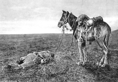 سرباز کشته شده رومانیایی در کنار اسبش.ظاهراً افسار اسب در دستان سرباز گره خورده و قابلیت ترک میدان نبرد را نداشته است.