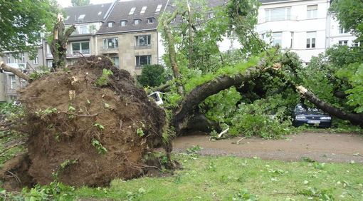 توفان و خسارت‌های ناشی از آن از شهر دوسلدورف آلمان، این توفان خسارت مادی زیادی وارد کرده است و حتی ایزوگام بام بعضی از خانه‌ها از شدت باد کنده شده و به خیابان افتاده است./BBC
