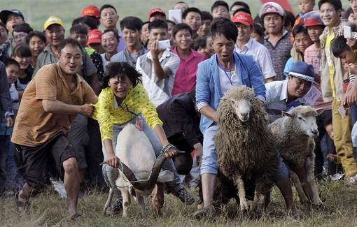 گوسفند و بز دوانی و سواری در جشنواره ای واقع در استان گوئیژو چین. /Reuters 