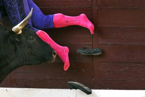 صحنه برخورد گاو خشمگین با یک گاو باز در مسابقه گاوبازی در لاس ونتاس شهر مادرید./AP 