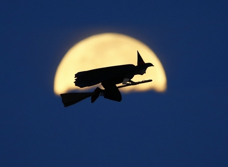 آزمایش پرواز به کمک امواج رادیویی در کالیفرنیای آمریکا./Reuters-Euronews
