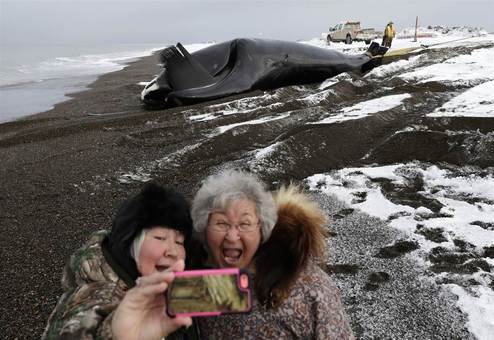 عکس سلفی دو زن سالمند خندان در آلاسکا با جسد یک نهنگ شکار شده در این منطقه./AP
