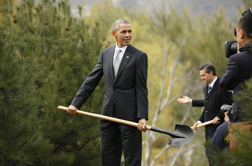 کاشت نهال در حاشیه اجلاس اَپِک در چین توسط باراک اوباما./Reuters
