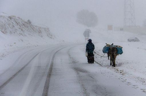 بارش شدید برف در ارتفاعات ممسنی ـ استان فارس.

