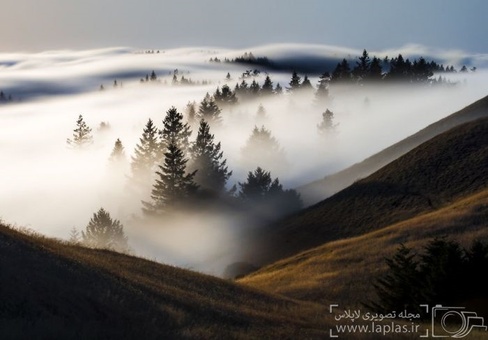 مه، مارین، کالیفرنیا