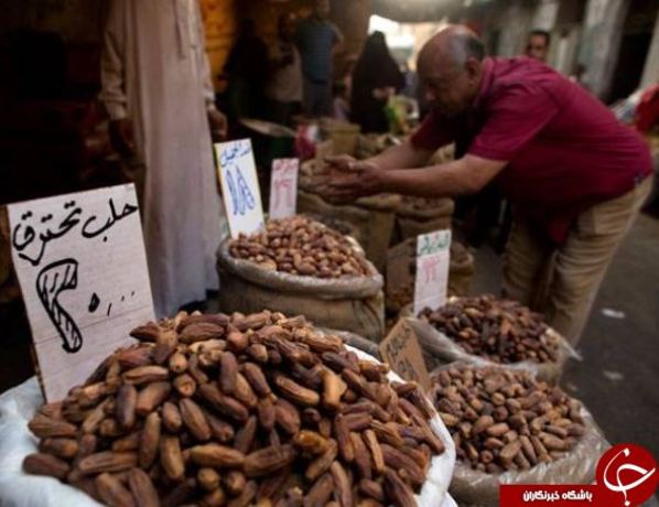 فروش خرمای حلب در قاهره پایتخت مصر