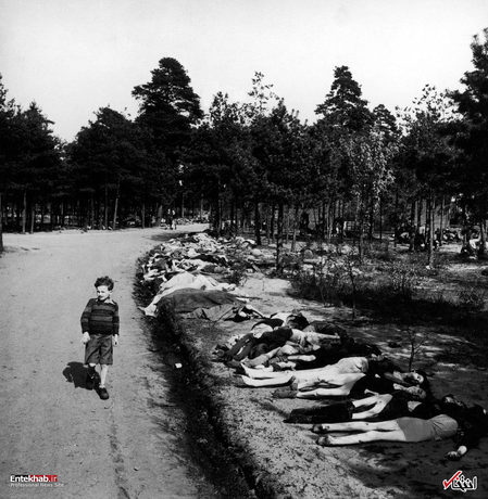 1945: یک پسر بچه در حال عبور از کنار جسد صدها زندانی در اردوگاه کار اجباری برگن بلزن آلمان