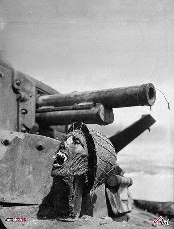 1 فوریه 1943: سر بریده یک سرباز ژاپنی روی لاشه یک تانک ژاپنی