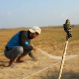 يوميات صيادي الطيور قرب الحدود بين غزة وكيان الاحتلال