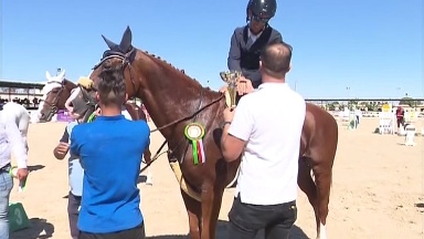 100 فارس وفارسة يشاركون في المسابقة الوطنية للقفز على الحواجز