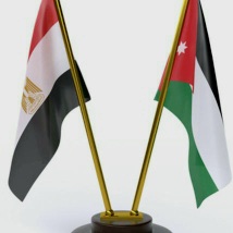 تعلنان عن تحرك مشترك لضمان استمرار وقف إطلاق النار في فلسطين