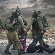 وجهة نظر العميد الياس فرحات حول الربيع العربي والقضية الفلسطينية