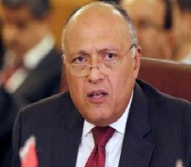 وزيرا الخارجية والري المصريان يبحثان ملف سد النهضة الإثيوبي