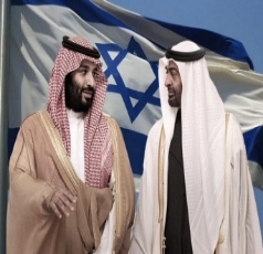 بروفيسور عُماني يوجه نصيحة هامة لتحالف العدوان على اليمن