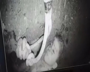 كيف صمد الطفل ريان في ظلمة البئر؟