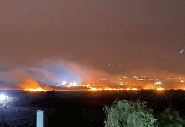 لجان المقاومة في فلسطين: الكيان الصهيوني كيان هش ولا تلجمه إلا المقاومة الحقيقية
