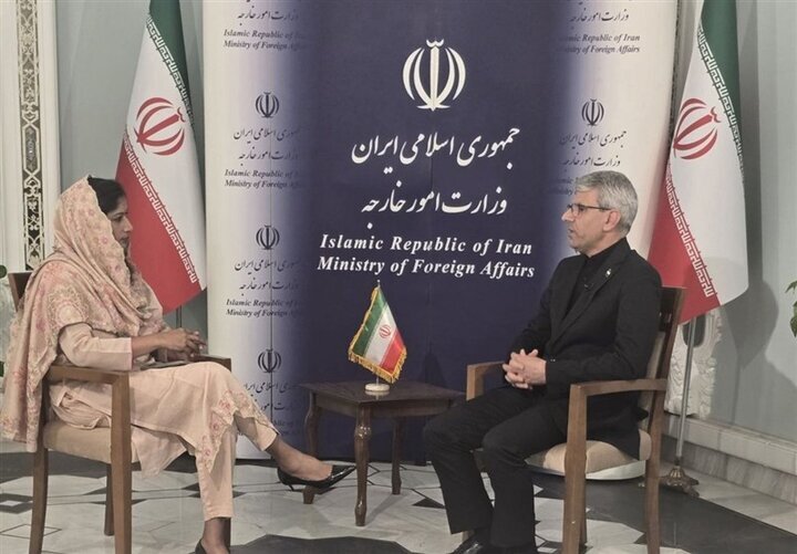 بقائي: امتلاك الطاقة النووية هو حق ايران مادامت عضو في معاهدة NPT/ لن نستسلم ونرد بحزم على اى اعتداء