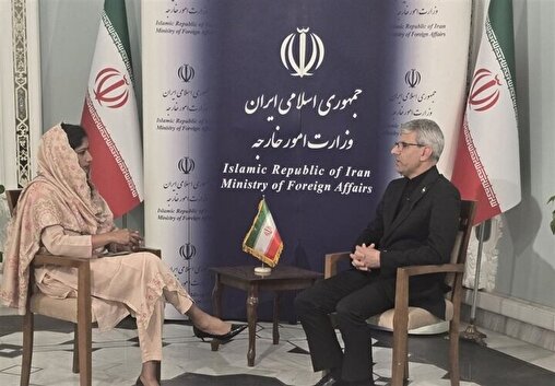 بقائي: امتلاك الطاقة النووية هو حق ايران مادامت عضو في معاهدة NPT/ لن نستسلم ونرد بحزم على اى اعتداء