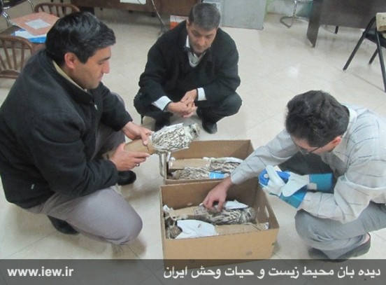 کشف پنج بهله بالابان از قاچاقچیان افغان +تصاویر