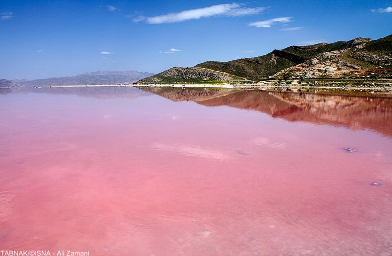 آب قرمز و جلبکی دریاچه مهارلو - تابناک | TABNAK
