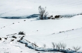 طبیعت زمستانی دامنه های سبلان در اردبیل