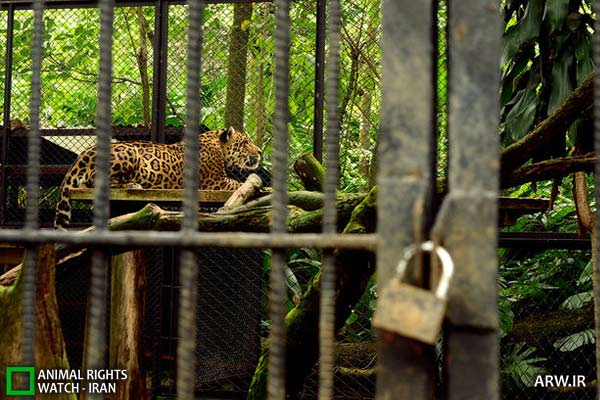 باغ وحش های کاستاریکا جمع می‌شوند