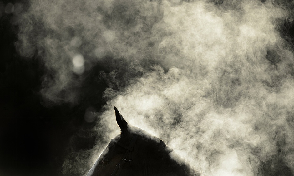 عکس روز: اسب بخار