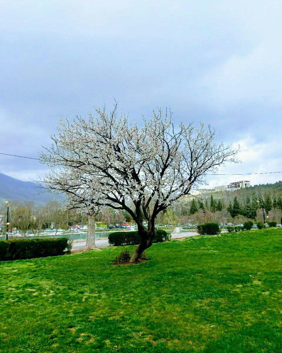 خرم آباد پارک دریاچه کیو